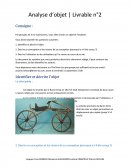 Le vélocipède