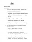 L’impact de différences culture sur les besoins des consommateurs et consommatrice