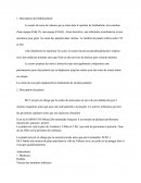 Analyse de la pratique en centre de soin