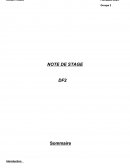 DF2 AMP, rapport de stage.