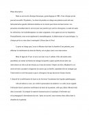 Analyse de pratique mobilisation drain de Shirley