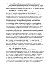 Justice Constitutionnelle Et Democratie Constitutionnelle