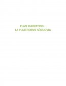 Plan marketing Sequovia