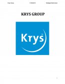Stratégie multicanal Krys Group