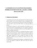 LA MICROFINANCE ET LES OPTONS STRATEGIQUES POSSIBLES D’INTERVENTION DE LA BANQUE AURORE DANS CE SECTEUR