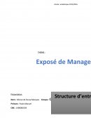 Fonction de l'entreprise (SES)