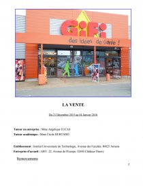 rapport de stage gifi