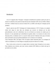 rapport de stage gifi