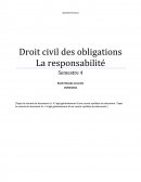 Le droit civil (L2)