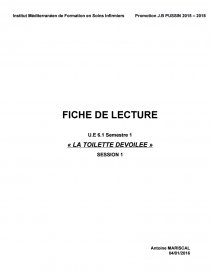 Fiche De Lecture Ifsi Exemple