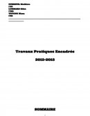 Travaux Pratiques Encadrés 2012-2013