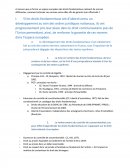 Garantie des droits fondamentaux dans l'UE