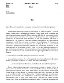 dissertation ses socialisation primaire et secondaire dissertation ses socialisation primaire et secondaire