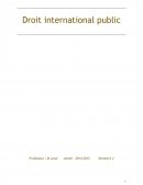 Droit international public cas