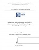 Adaptation des expatriés au sein d’un environnement culturellement diversifié : Cas de l’Organisation pour l’interdiction des armes chimiques