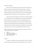 Assurance des dommages