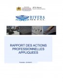 Rapport des actions professionnelles appliquées