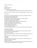 Histoire du XX ème siècle