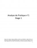 Analyse pratique professionnelle