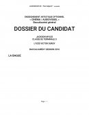 Dossier audio visuel