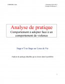 Analyse de pratique en crèche