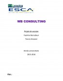 Wb Consulting rapport
