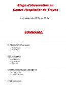 Rapport de stage au centre hospitalier de Troyes.