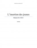 Insertion des jeunes
