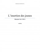 Insertion des jeunes