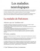 Les Maladies Neurologiques