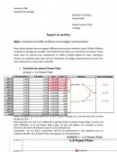 Evolution du chiffre d’affaires et du budget communication