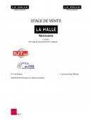 Rapport de stage - La Halle