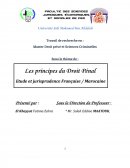 Les principes du droit pénal