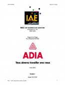 RAPPORT DE STAGE ADIA INTERIM