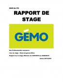 Gemo de gennevilliers