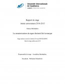 La caractérisation du signe distinctif de la marque.