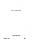 Rapport de stage BAFD