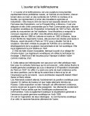 L’ouvrier et la kolkhozienne cas