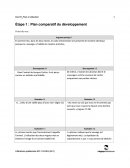 Étape 1 : Plan comparatif du développement