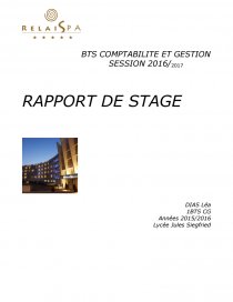 Exemple Rapport De Stage Bts Tourisme  Le Meilleur Exemple