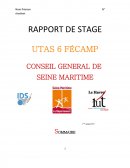 Rapport de stage 1ère Année DUT Carrières sociales