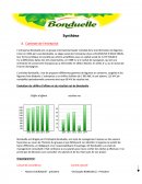 Bonduelle cas