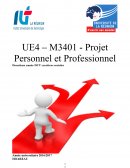 UE4 – M3401 - Projet Personnel et Professionnel
