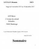 La société ATP MICRO