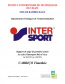 Rapport de stage intersport bois d'arcy