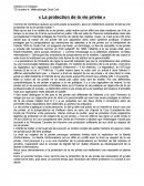 Dissertation protection de la vie privée