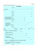 Introduction au droit international