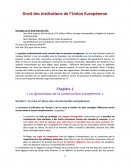 Droit des institutions de l'union europeenne