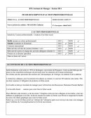 FICHE DESCRIPTIVE D'ACTION PROFESSIONNELLE - CAS SERFAL