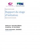 Rapport stage d'initiation GRINORD